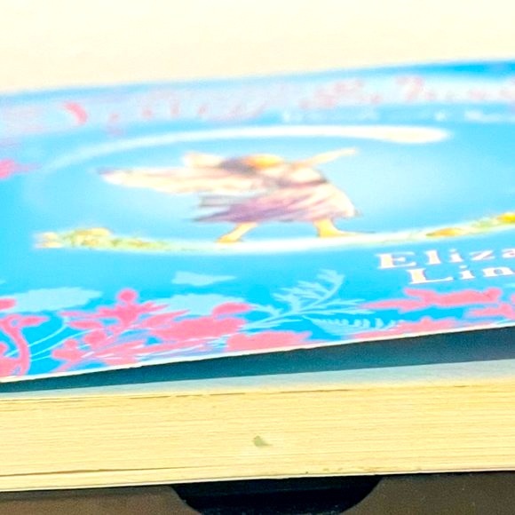 (5) Book Bundle- Dork Diaries, Cupcakes & Fairies - Picture 8 of 8